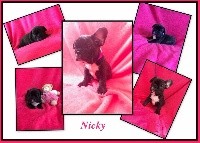 Nicky